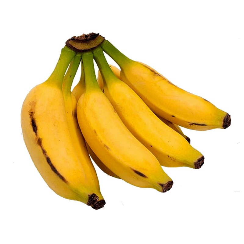 Musa acuminata Banana 