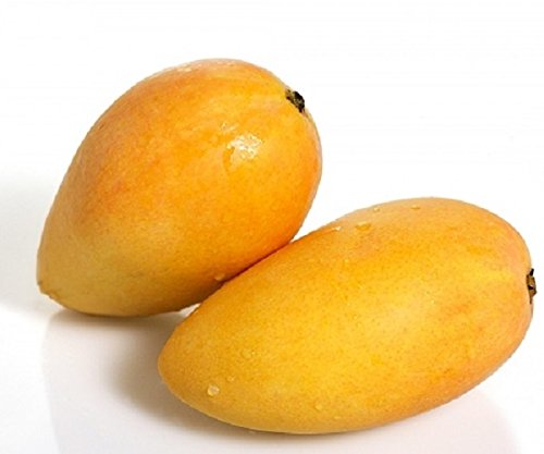Mallika (condo mango)